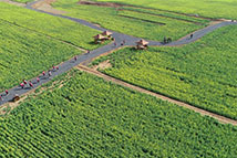 �Ͳ˻��_ ��������