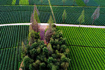 ���B��@ �o����ժ