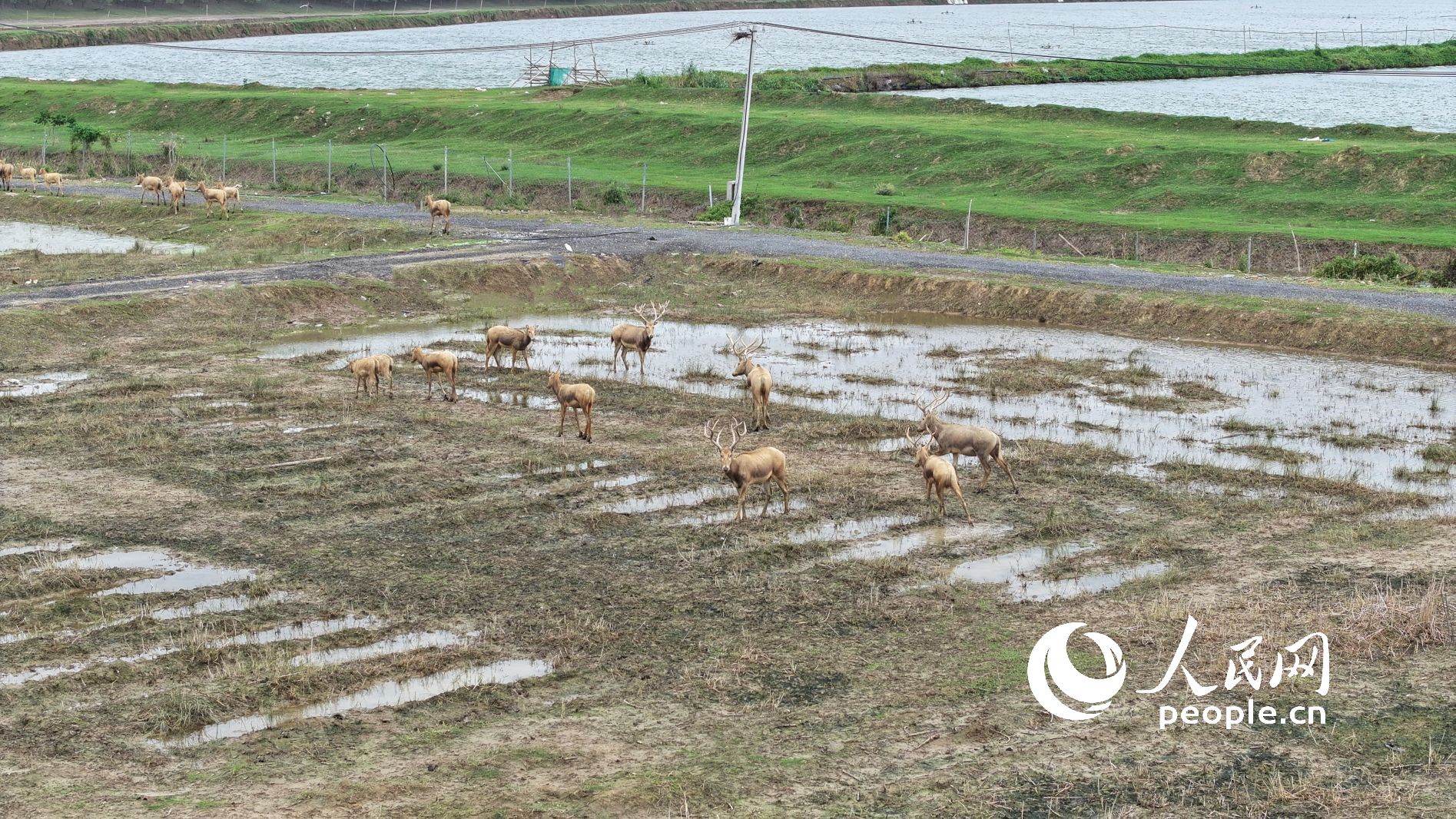 Ұ¹Ⱥo˙CƬWӛ 옷z