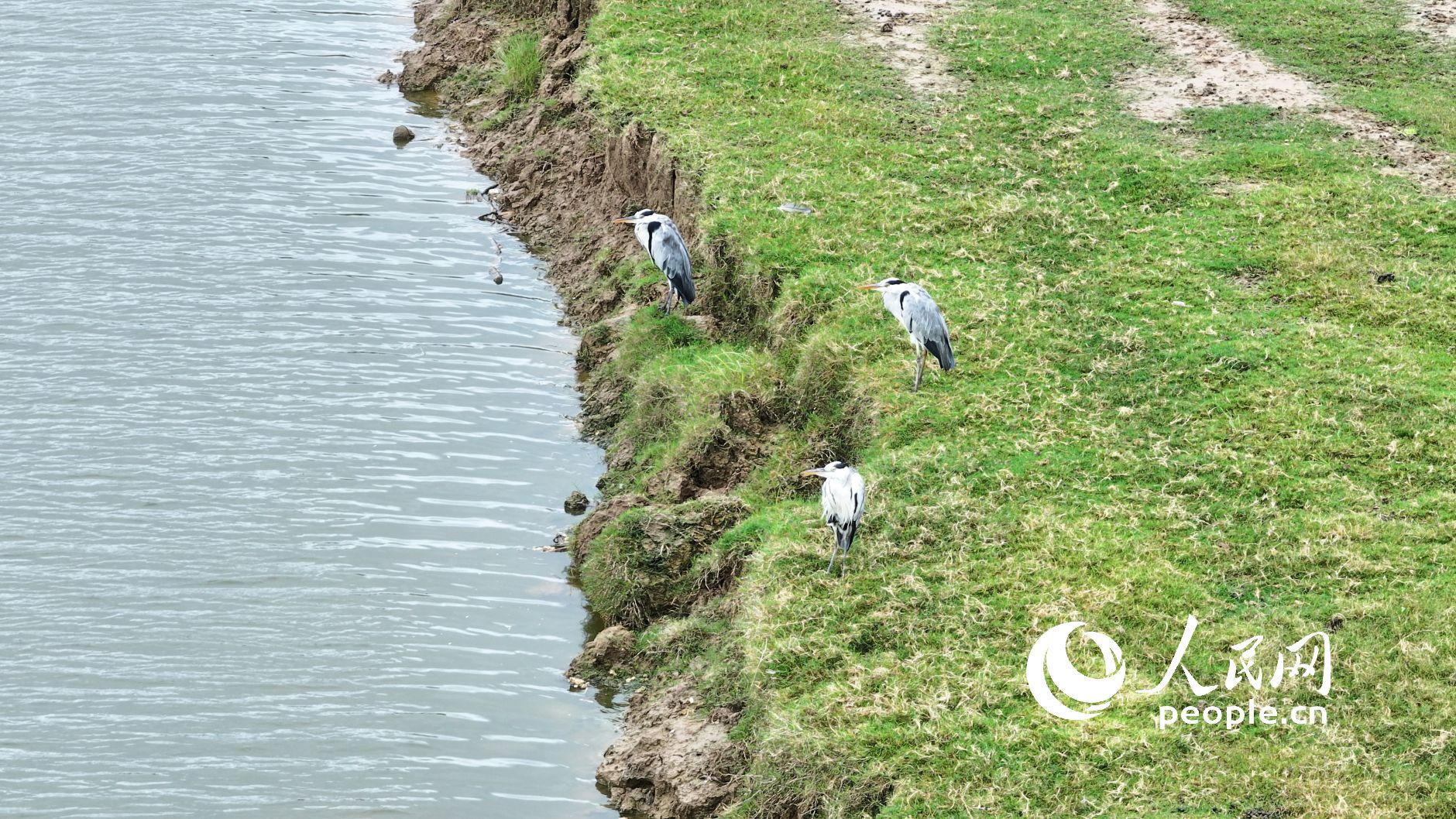 o^ҰBo˙CƬWӛ 옷z