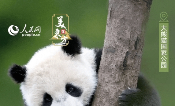 國際生物多樣性日|看！珍稀動植物在這里“C位出道”