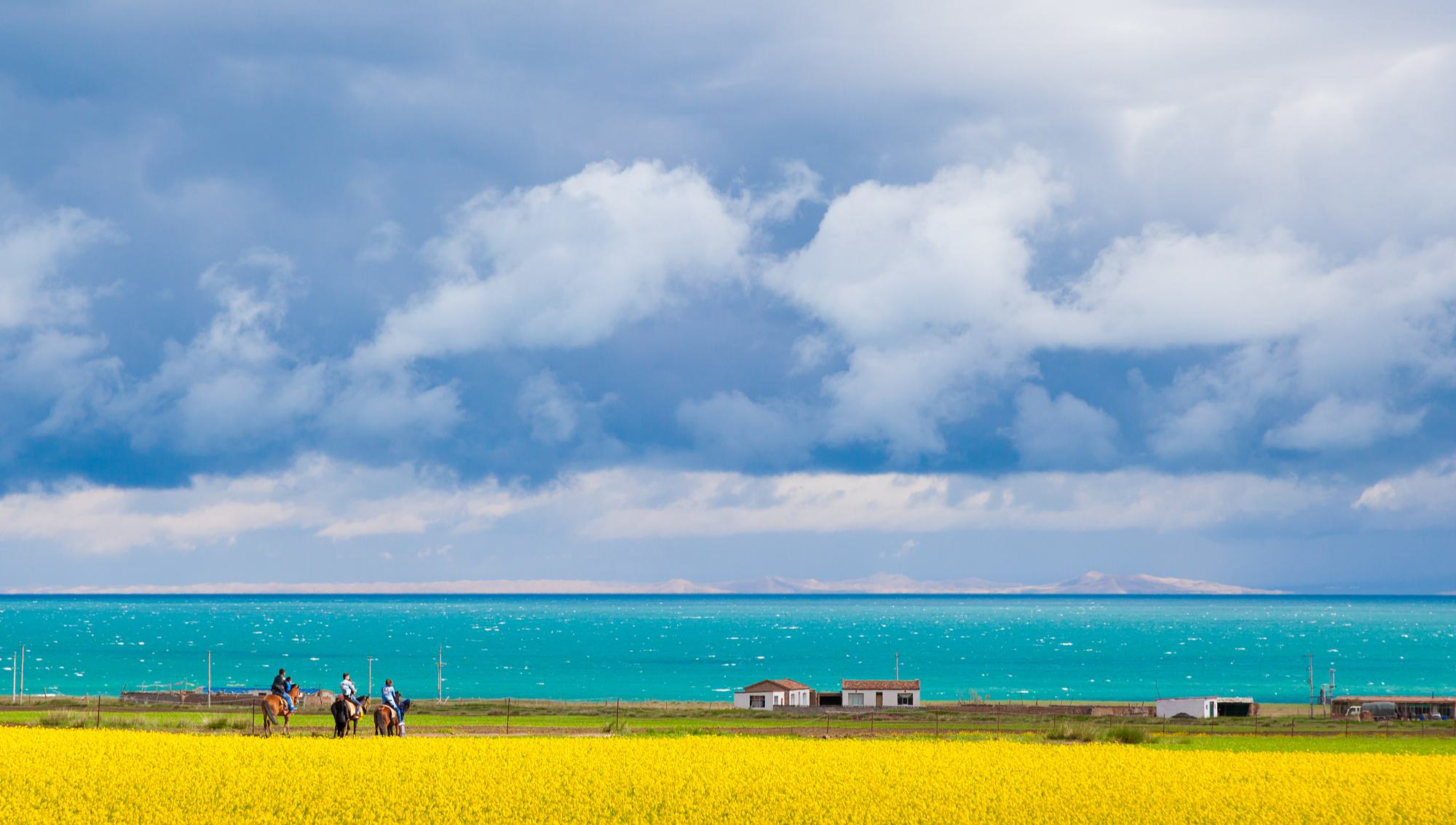 數說生態美 共賞美麗中國新畫卷