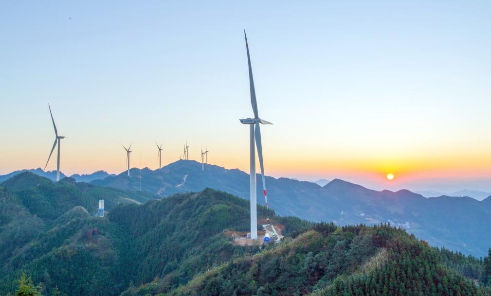 �D�����h���B�X�L늈��������A�| �z��