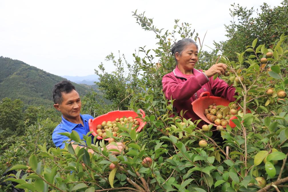 �������ڲ����Ͳ��������hί���������D��