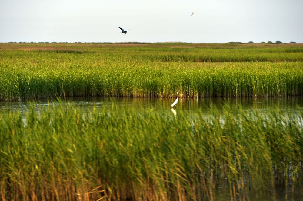 ɽ||IĔzSއҼȻo^B2024625ՔzAӛ  z