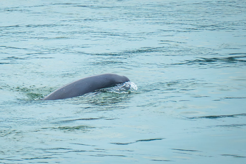 Lںʡ˲иމˮґ2024521ՔzAӛ Фˇ z